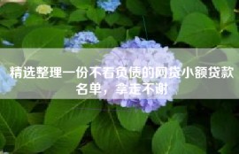 精选整理一份不看负债的网贷小额贷款名单，拿走不谢