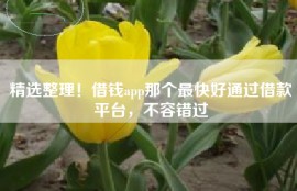 精选整理！借钱app那个最快好通过借款平台，不容错过