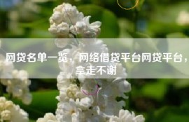 网贷名单一览，网络借贷平台网贷平台，拿走不谢