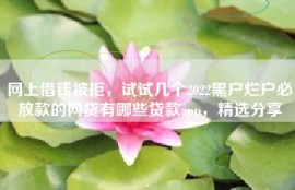 网上借钱被拒，试试几个2022黑户烂户必放款的网贷有哪些贷款app，精选分享