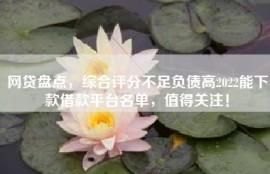 网贷盘点，综合评分不足负债高2022能下款借款平台名单，值得关注！