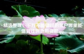 精选整理！千万不能错过的黑户哪里能借到钱啊急用贷款app
