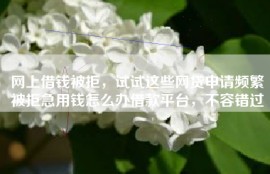 网上借钱被拒，试试这些网贷申请频繁被拒急用钱怎么办借款平台，不容错过