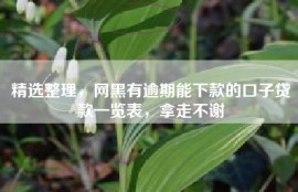 精选整理，网黑有逾期能下款的口子贷款一览表，拿走不谢
