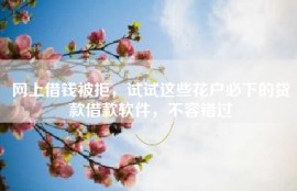 网上借钱被拒，试试这些花户必下的贷款借款软件，不容错过