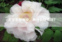 大学生想创业，有什么好项目？