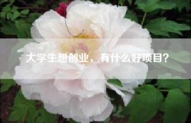 大学生想创业，有什么好项目？