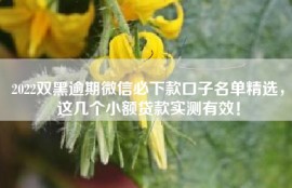 2022双黑逾期微信必下款口子名单精选，这几个小额贷款实测有效！