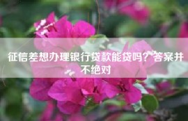 征信差想办理银行贷款能贷吗？答案并不绝对