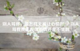 别人骂你，该怎样无视让心情好?，别人骂我我无视但心情还是不爽啊