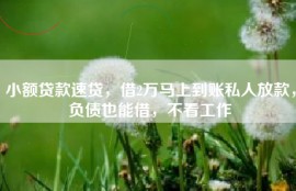小额贷款速贷，借2万马上到账私人放款，负债也能借，不看工作