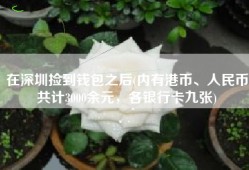 在深圳捡到钱包之后(内有港币、人民币共计3000余元，各银行卡九张)