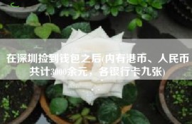 在深圳捡到钱包之后(内有港币、人民币共计3000余元，各银行卡九张)