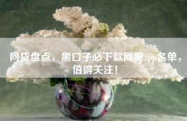 网贷盘点，黑口子必下款网贷app名单，值得关注！