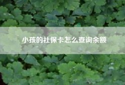 小孩的社保卡怎么查询余额