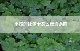 小孩的社保卡怎么查询余额