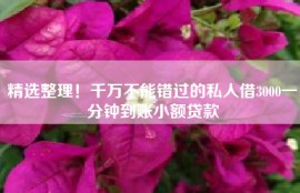 精选整理！千万不能错过的私人借3000一分钟到账小额贷款