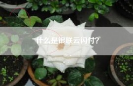 什么是银联云闪付？