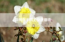 如何在手机上快速借钱
