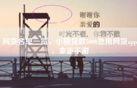 网贷名单一览，小额贷款5000急用网贷app，拿走不谢