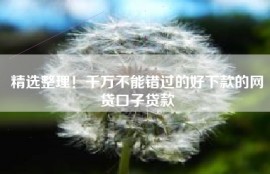 精选整理！千万不能错过的好下款的网贷口子贷款