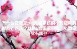 有什么贷款是2022无需审核的小额贷款有哪些？这几个就是2022无需审核的小额贷款有哪些