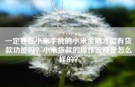 一定要在小米手机的小米金融才能有贷款功能吗？小米贷款的操作流程是怎么样的？