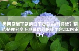 黑网贷能下款的口子贷款app有哪些？精选整理分享不查征信的借钱平台2022网贷口子