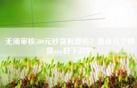 无须审核500元秒贷有哪些？盘点几个网贷app好下款的