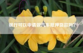 银行可以申请做汽车抵押贷款吗？