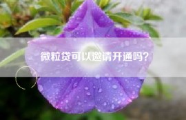 微粒贷可以邀请开通吗？