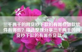 三千两千的网贷秒下款的有哪些借款软件有哪些？精选整理分享三千两千的网贷秒下款的有哪些贷款app