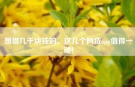 想借几千块钱的，这几个网贷app值得一试！