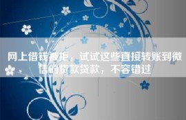 网上借钱被拒，试试这些直接转账到微信的贷款贷款，不容错过