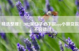 精选整理！2022黑口子必下款app小额贷款，不容错过