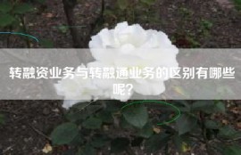 转融资业务与转融通业务的区别有哪些呢？