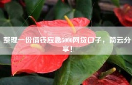 整理一份借钱应急5000网贷口子，简云分享！