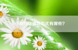 小额网贷催收方式有哪些？