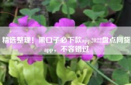 精选整理！黑口子必下款app2022盘点网贷app，不容错过