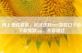 网上借钱被拒，试试这些2022贷款口子必下款贷款app，不容错过