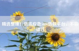 精选整理！借钱应急5000借款平台，不容错过