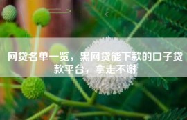网贷名单一览，黑网贷能下款的口子贷款平台，拿走不谢