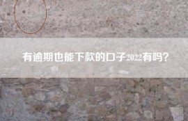 有逾期也能下款的口子2022有吗？