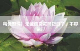 精选整理！无征信贷款网贷口子，不容错过