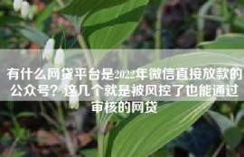 有什么网贷平台是2022年微信直接放款的公众号？这几个就是被风控了也能通过审核的网贷