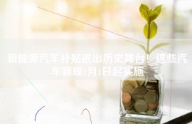 新能源汽车补贴退出历史舞台！这些汽车新规1月1日起实施