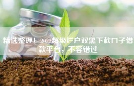 精选整理！2022超级烂户双黑下款口子借款平台，不容错过