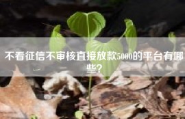 不看征信不审核直接放款5000的平台有哪些？