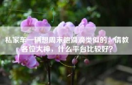 私家车一辆想周末跑滴滴类似的，请教各位大神，什么平台比较好？