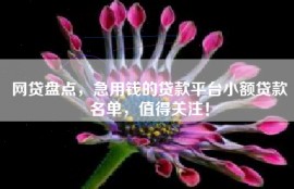 网贷盘点，急用钱的贷款平台小额贷款名单，值得关注！